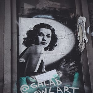 woman s portrait photo poster